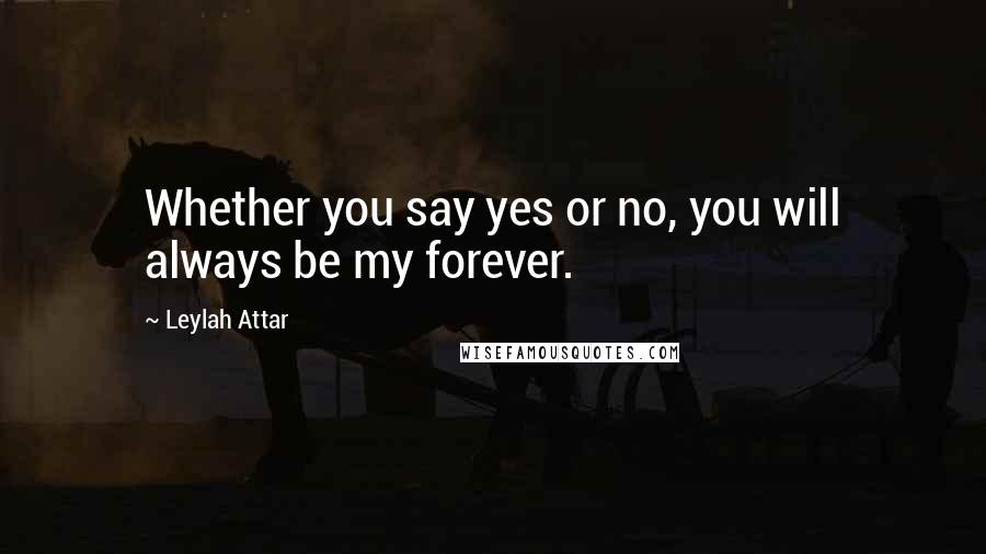 Leylah Attar Quotes: Whether you say yes or no, you will always be my forever.