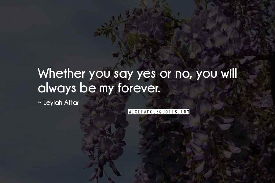 Leylah Attar Quotes: Whether you say yes or no, you will always be my forever.