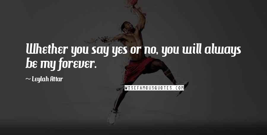 Leylah Attar Quotes: Whether you say yes or no, you will always be my forever.