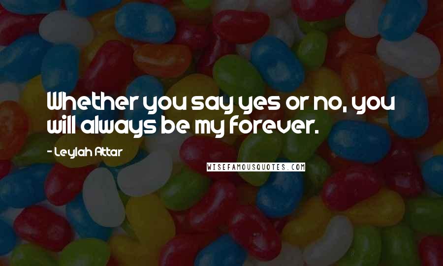Leylah Attar Quotes: Whether you say yes or no, you will always be my forever.