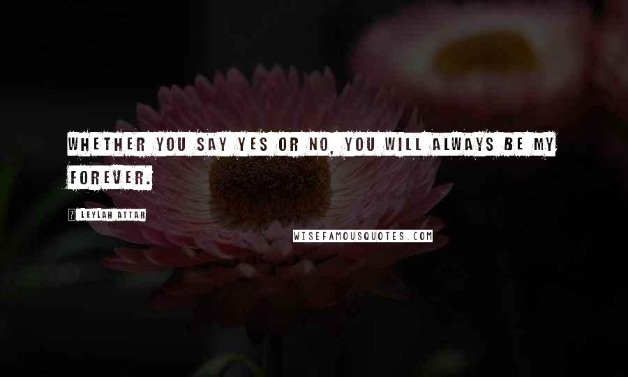 Leylah Attar Quotes: Whether you say yes or no, you will always be my forever.