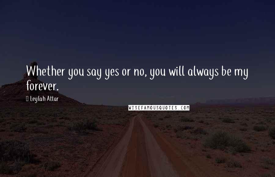 Leylah Attar Quotes: Whether you say yes or no, you will always be my forever.