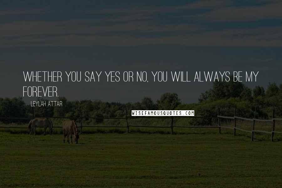 Leylah Attar Quotes: Whether you say yes or no, you will always be my forever.