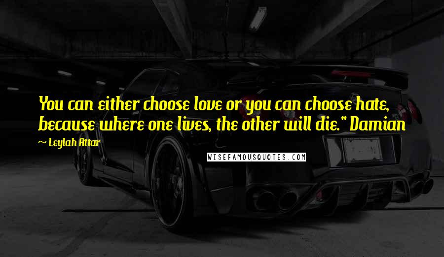 Leylah Attar Quotes: You can either choose love or you can choose hate, because where one lives, the other will die." Damian