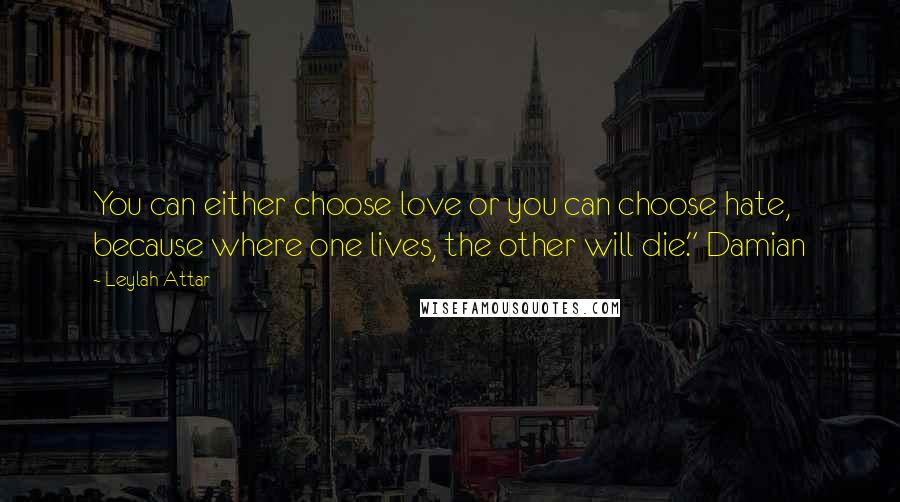 Leylah Attar Quotes: You can either choose love or you can choose hate, because where one lives, the other will die." Damian