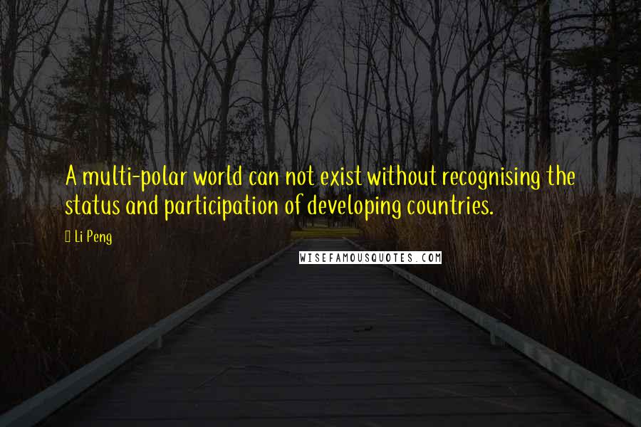 Li Peng Quotes: A multi-polar world can not exist without recognising the status and participation of developing countries.