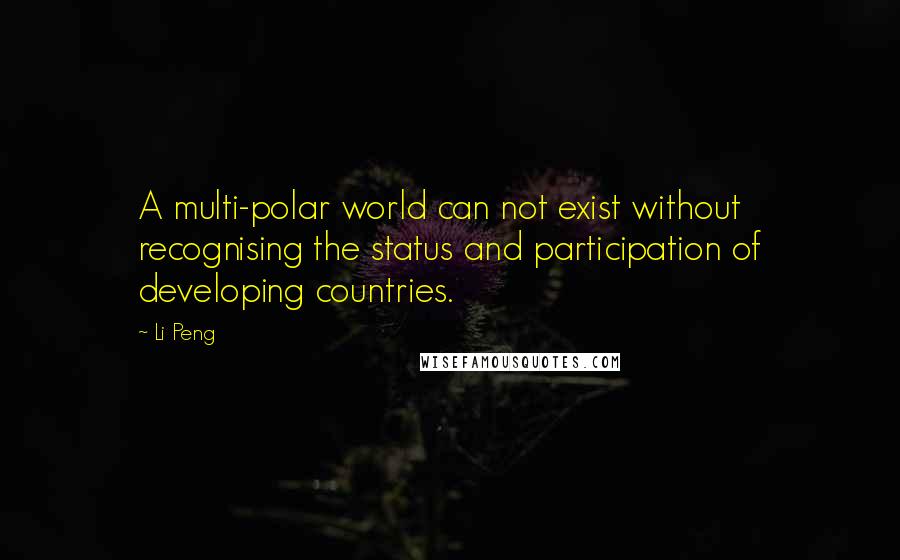 Li Peng Quotes: A multi-polar world can not exist without recognising the status and participation of developing countries.