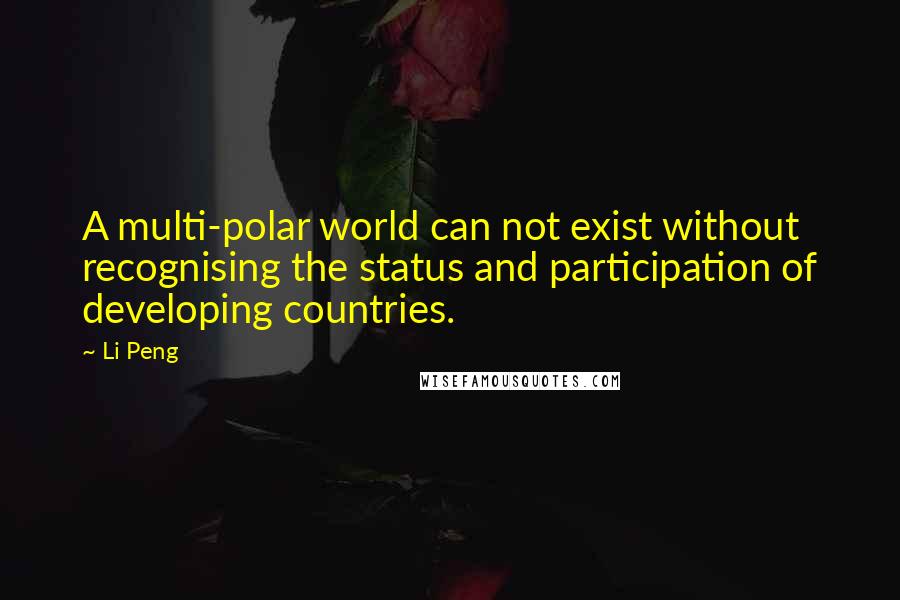 Li Peng Quotes: A multi-polar world can not exist without recognising the status and participation of developing countries.