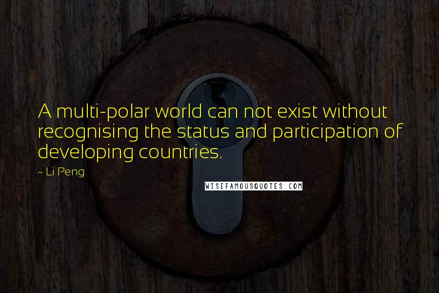 Li Peng Quotes: A multi-polar world can not exist without recognising the status and participation of developing countries.