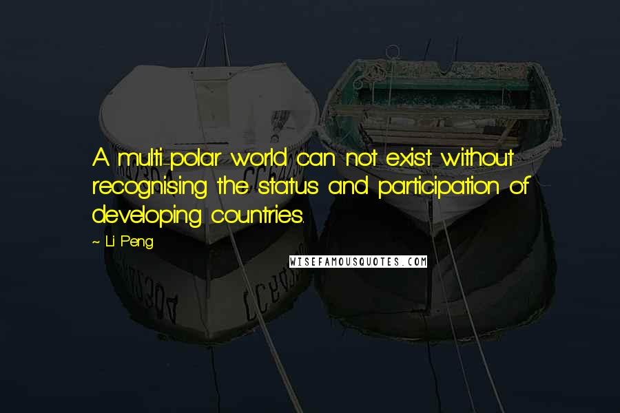 Li Peng Quotes: A multi-polar world can not exist without recognising the status and participation of developing countries.