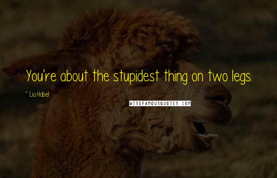 Lia Habel Quotes: You're about the stupidest thing on two legs.