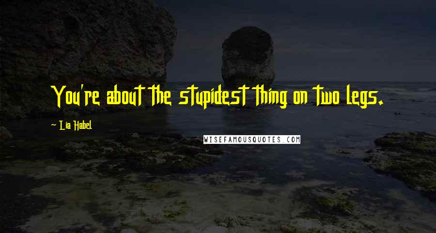 Lia Habel Quotes: You're about the stupidest thing on two legs.