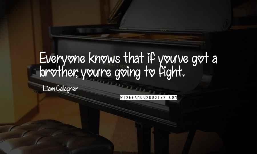 Liam Gallagher Quotes: Everyone knows that if you've got a brother, you're going to fight.