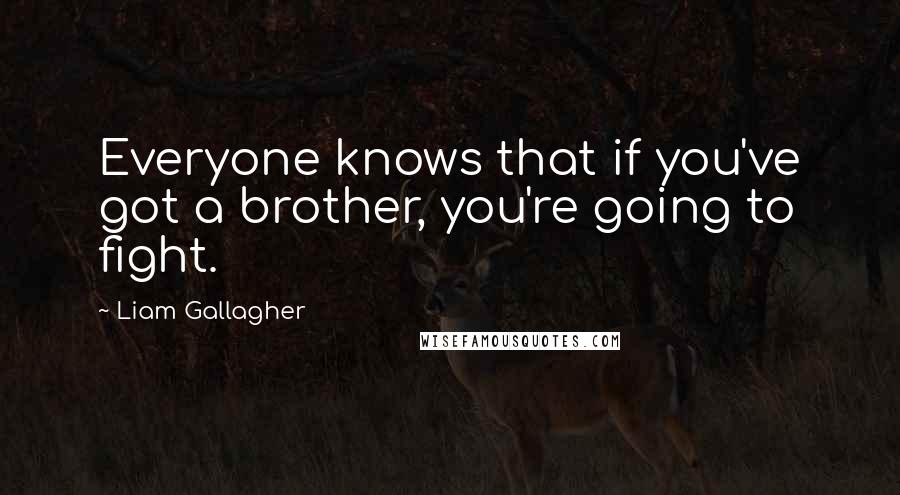Liam Gallagher Quotes: Everyone knows that if you've got a brother, you're going to fight.
