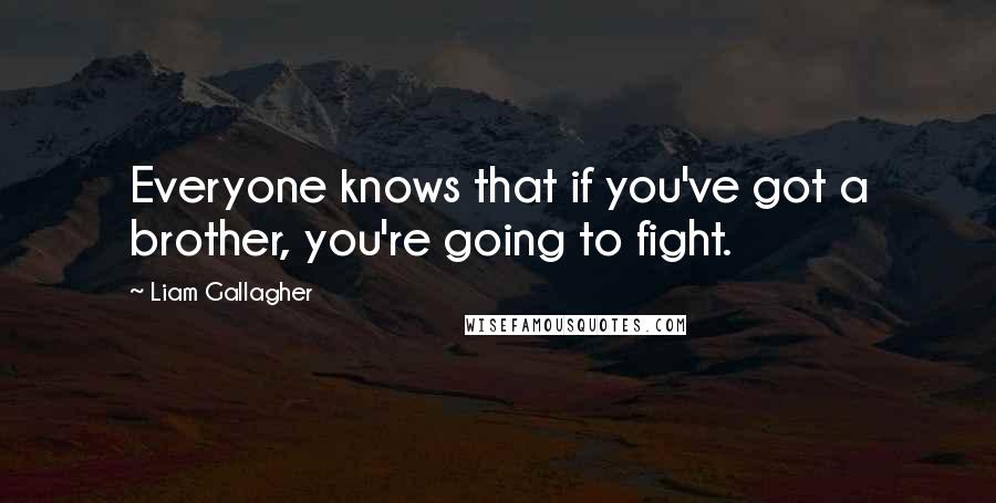 Liam Gallagher Quotes: Everyone knows that if you've got a brother, you're going to fight.