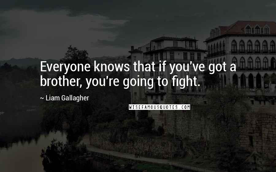Liam Gallagher Quotes: Everyone knows that if you've got a brother, you're going to fight.