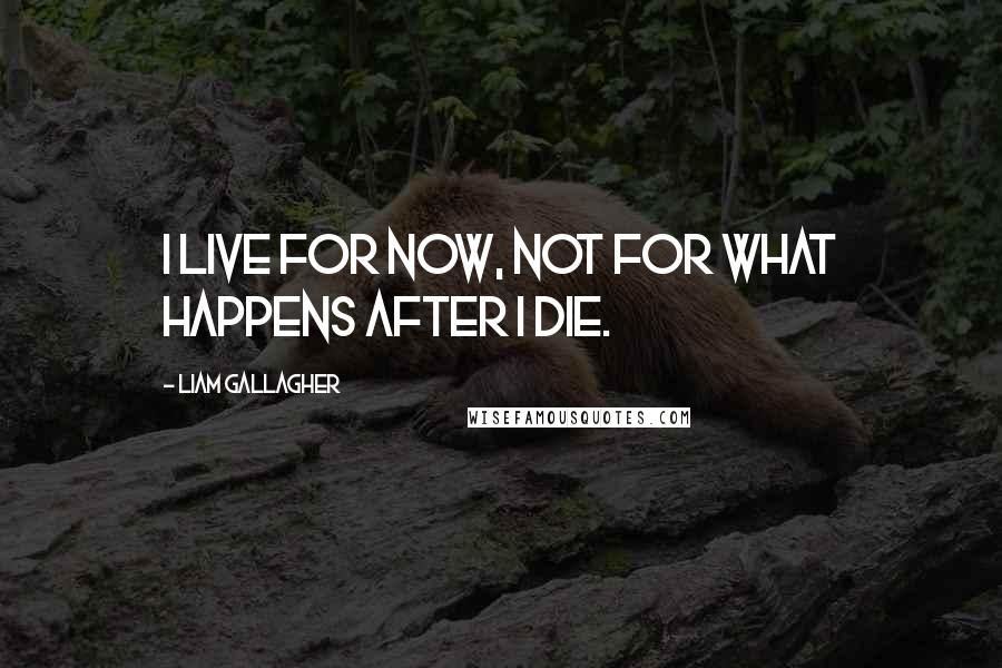 Liam Gallagher Quotes: I live for now, not for what happens after I die.