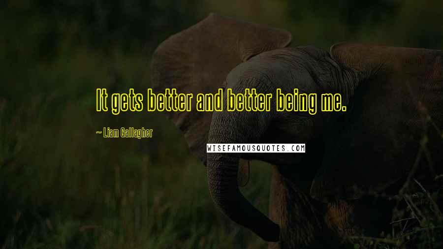 Liam Gallagher Quotes: It gets better and better being me.