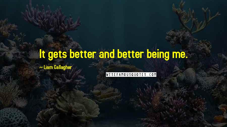Liam Gallagher Quotes: It gets better and better being me.