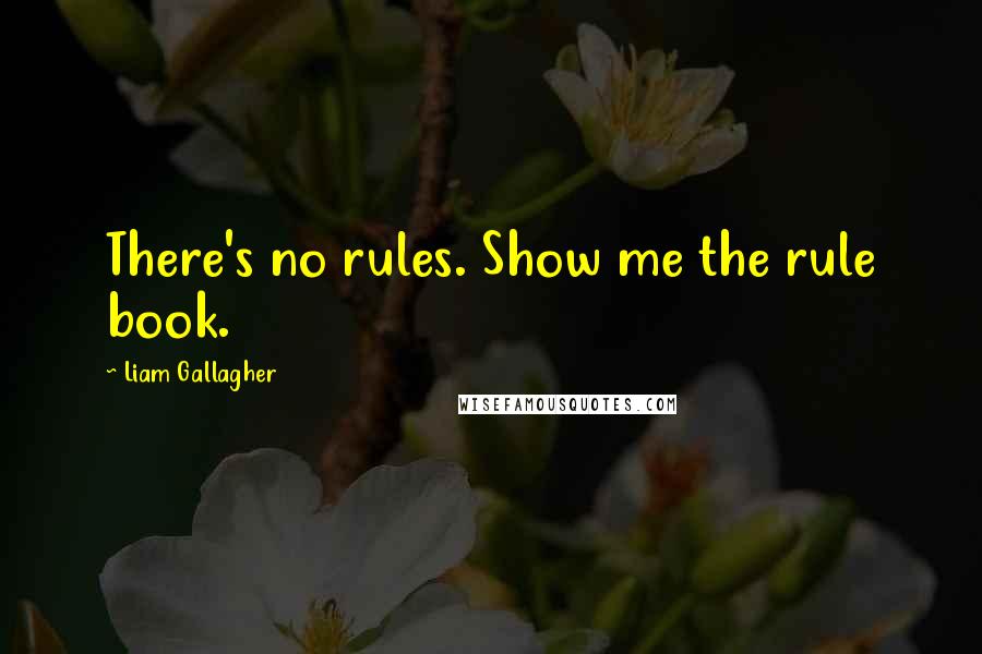 Liam Gallagher Quotes: There's no rules. Show me the rule book.