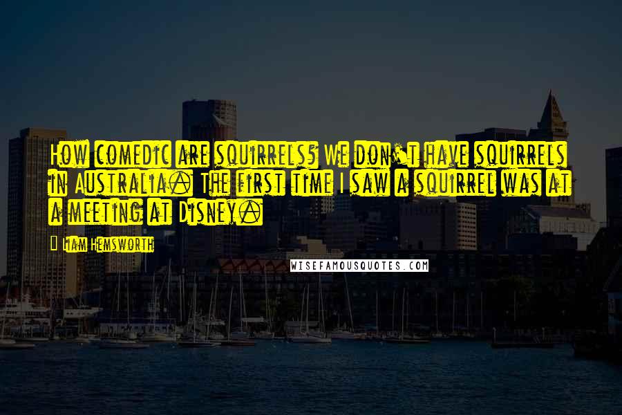 Liam Hemsworth Quotes: How comedic are squirrels? We don't have squirrels in Australia. The first time I saw a squirrel was at a meeting at Disney.