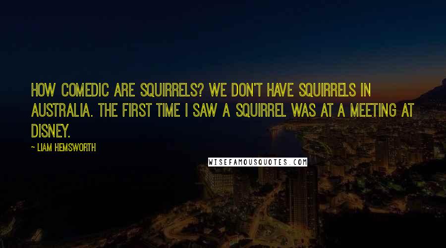 Liam Hemsworth Quotes: How comedic are squirrels? We don't have squirrels in Australia. The first time I saw a squirrel was at a meeting at Disney.