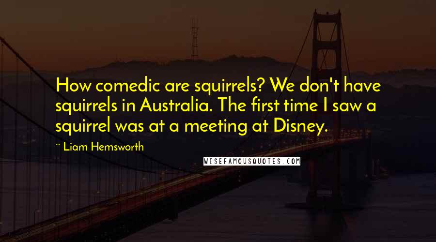 Liam Hemsworth Quotes: How comedic are squirrels? We don't have squirrels in Australia. The first time I saw a squirrel was at a meeting at Disney.