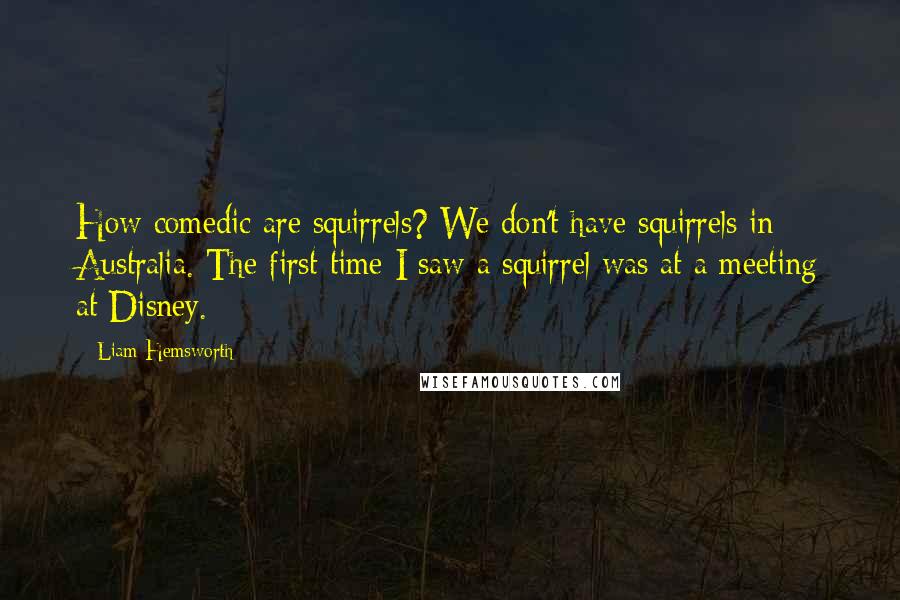 Liam Hemsworth Quotes: How comedic are squirrels? We don't have squirrels in Australia. The first time I saw a squirrel was at a meeting at Disney.