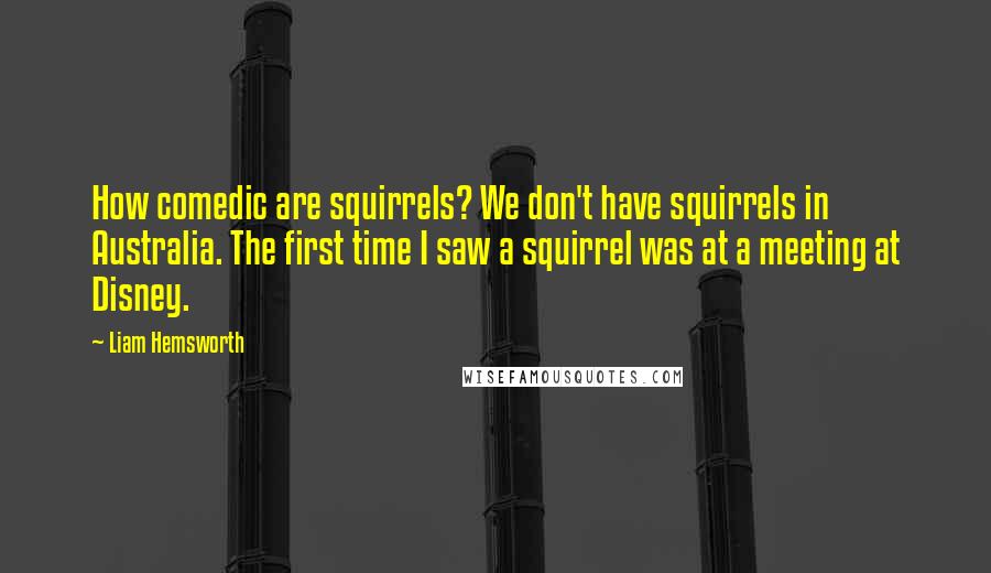 Liam Hemsworth Quotes: How comedic are squirrels? We don't have squirrels in Australia. The first time I saw a squirrel was at a meeting at Disney.