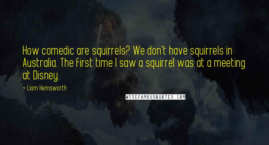 Liam Hemsworth Quotes: How comedic are squirrels? We don't have squirrels in Australia. The first time I saw a squirrel was at a meeting at Disney.