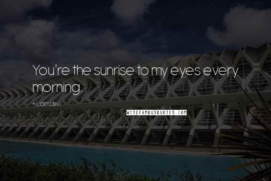 Liam Levi Quotes: You're the sunrise to my eyes every morning.