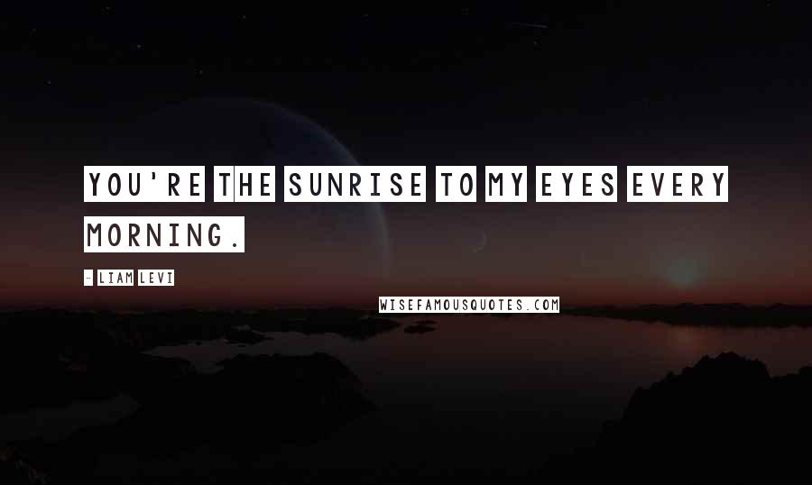 Liam Levi Quotes: You're the sunrise to my eyes every morning.