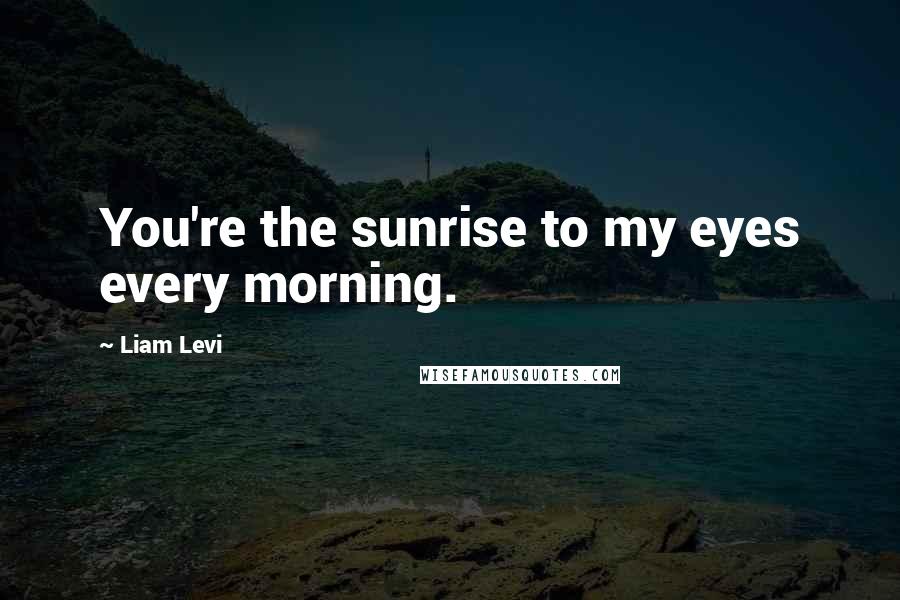 Liam Levi Quotes: You're the sunrise to my eyes every morning.