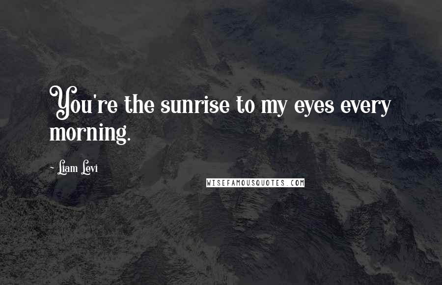 Liam Levi Quotes: You're the sunrise to my eyes every morning.