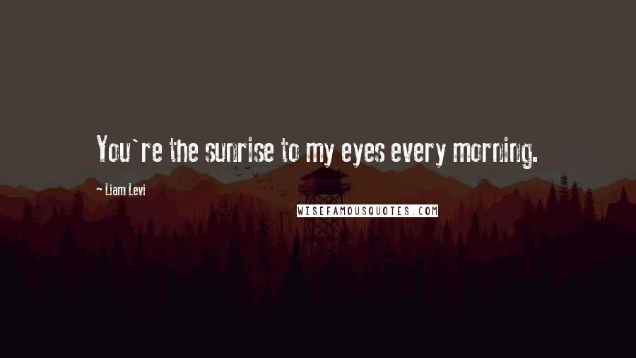 Liam Levi Quotes: You're the sunrise to my eyes every morning.