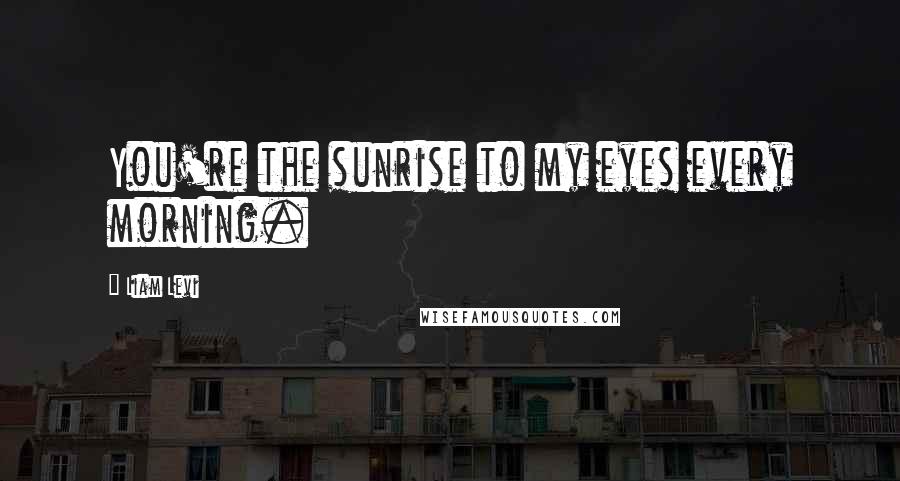 Liam Levi Quotes: You're the sunrise to my eyes every morning.