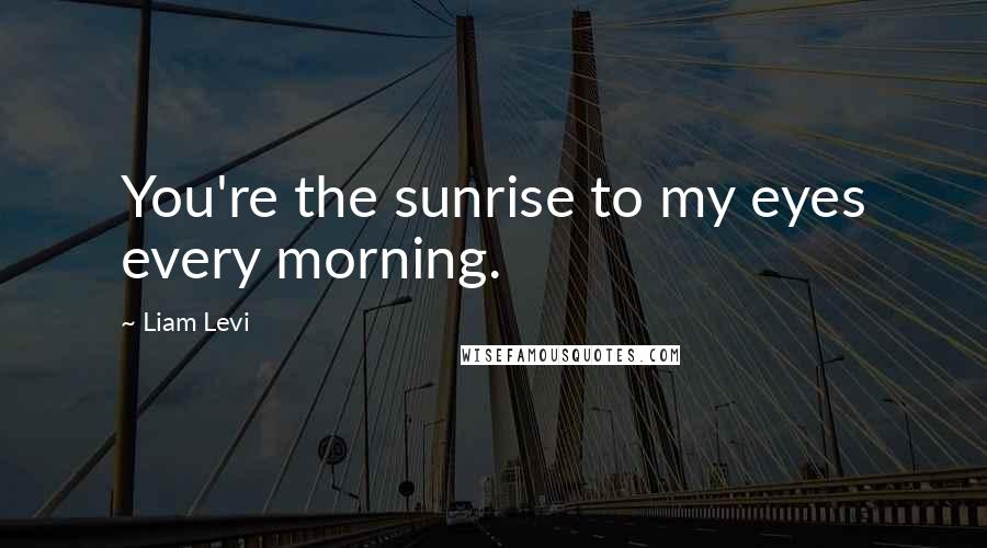 Liam Levi Quotes: You're the sunrise to my eyes every morning.