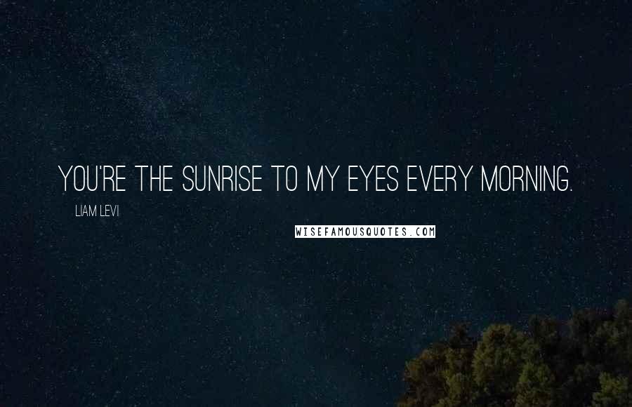 Liam Levi Quotes: You're the sunrise to my eyes every morning.