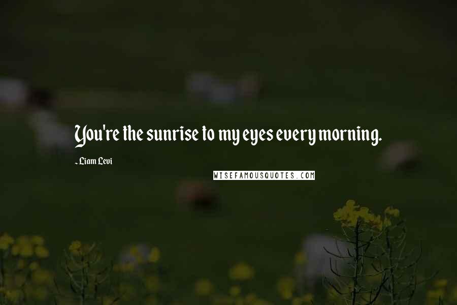 Liam Levi Quotes: You're the sunrise to my eyes every morning.