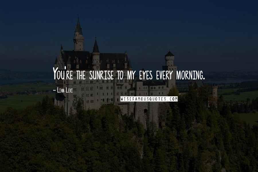 Liam Levi Quotes: You're the sunrise to my eyes every morning.