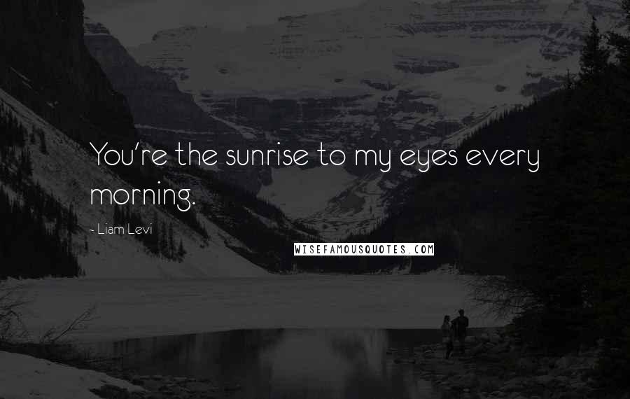 Liam Levi Quotes: You're the sunrise to my eyes every morning.