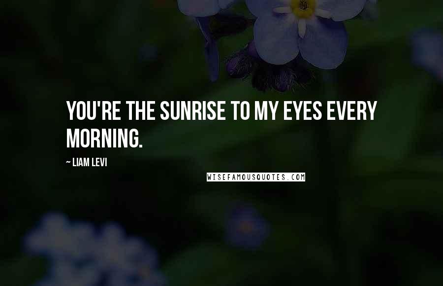 Liam Levi Quotes: You're the sunrise to my eyes every morning.