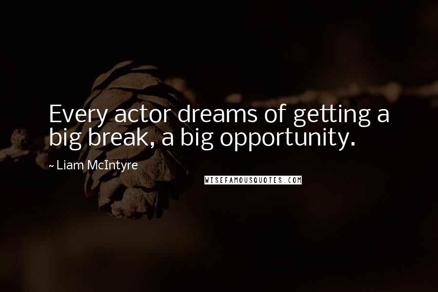 Liam McIntyre Quotes: Every actor dreams of getting a big break, a big opportunity.