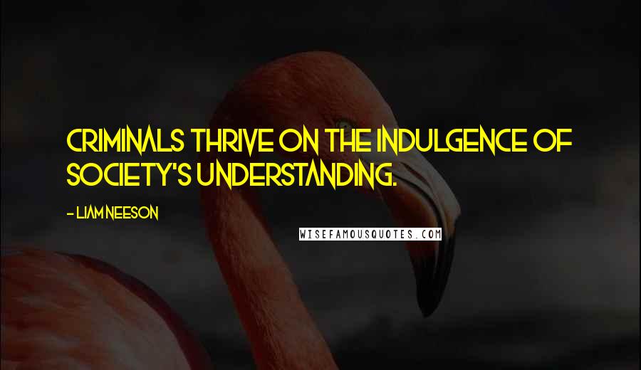 Liam Neeson Quotes: Criminals thrive on the indulgence of society's understanding.