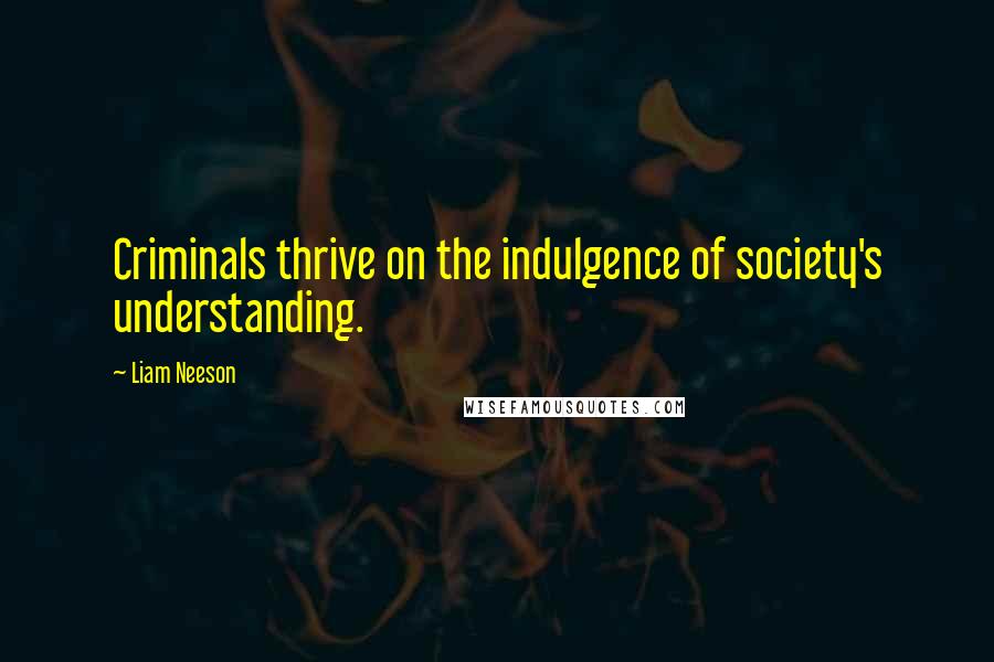 Liam Neeson Quotes: Criminals thrive on the indulgence of society's understanding.