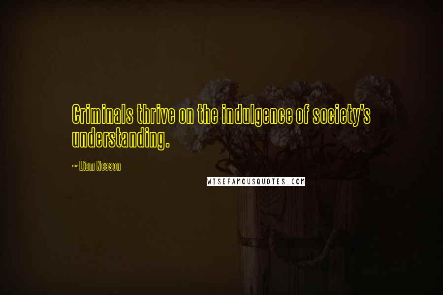 Liam Neeson Quotes: Criminals thrive on the indulgence of society's understanding.