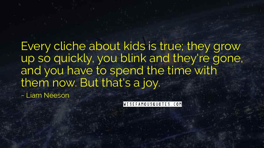 Liam Neeson Quotes: Every cliche about kids is true; they grow up so quickly, you blink and they're gone, and you have to spend the time with them now. But that's a joy.