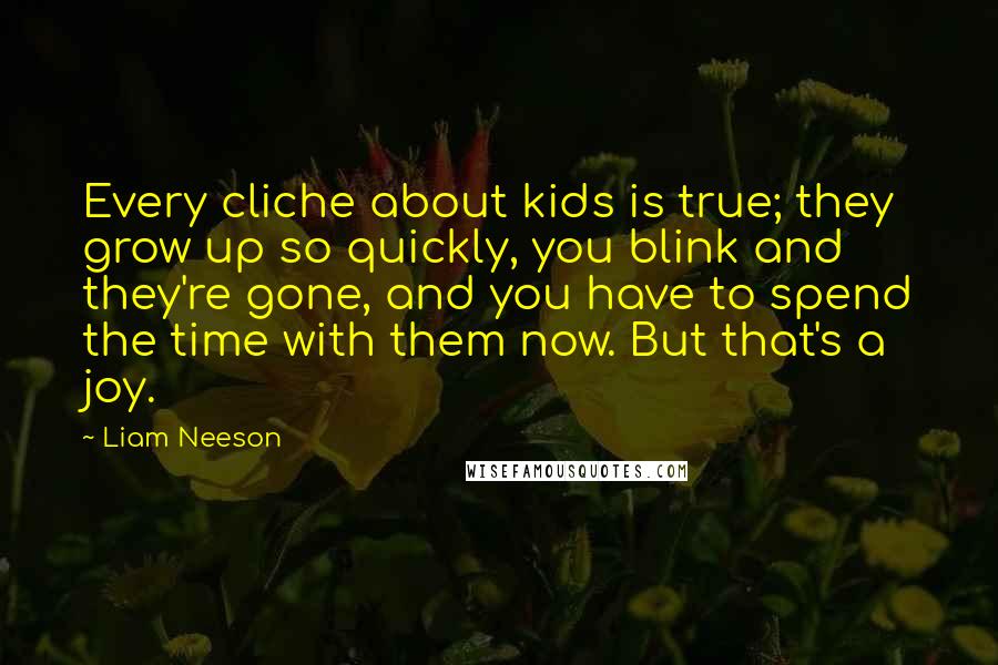 Liam Neeson Quotes: Every cliche about kids is true; they grow up so quickly, you blink and they're gone, and you have to spend the time with them now. But that's a joy.