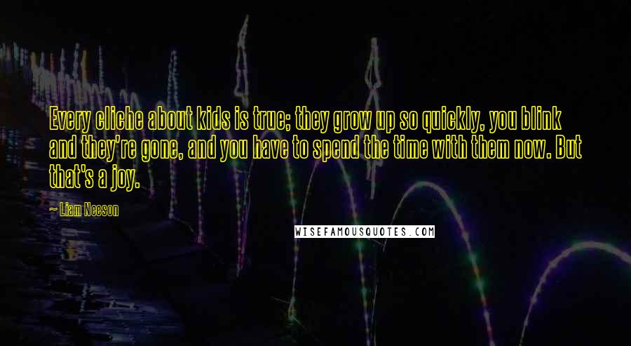 Liam Neeson Quotes: Every cliche about kids is true; they grow up so quickly, you blink and they're gone, and you have to spend the time with them now. But that's a joy.