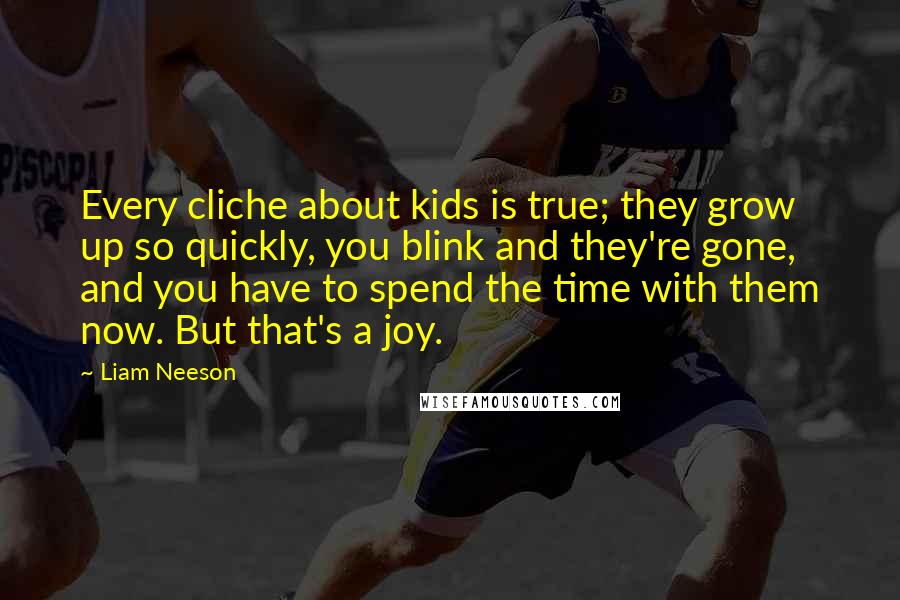 Liam Neeson Quotes: Every cliche about kids is true; they grow up so quickly, you blink and they're gone, and you have to spend the time with them now. But that's a joy.